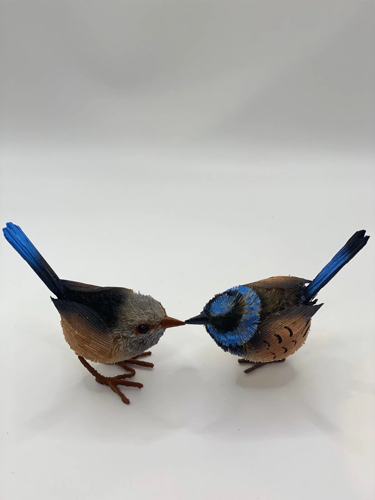 Blue Wren - Image 3
